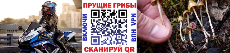 маркетплейс формула  Мичуринск  Галлюциногенные грибы Psilocybe  KRAKEN зеркало 