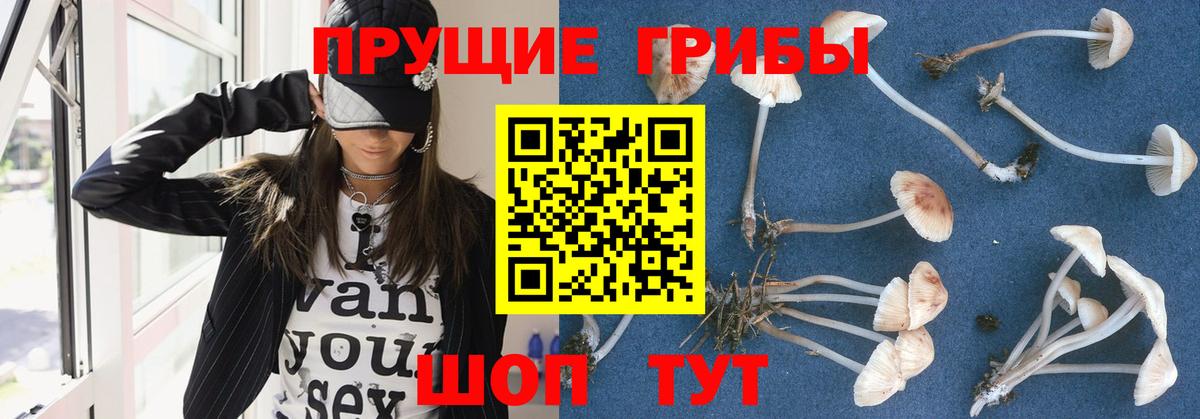 Галлюциногенные грибы мухоморы Мичуринск