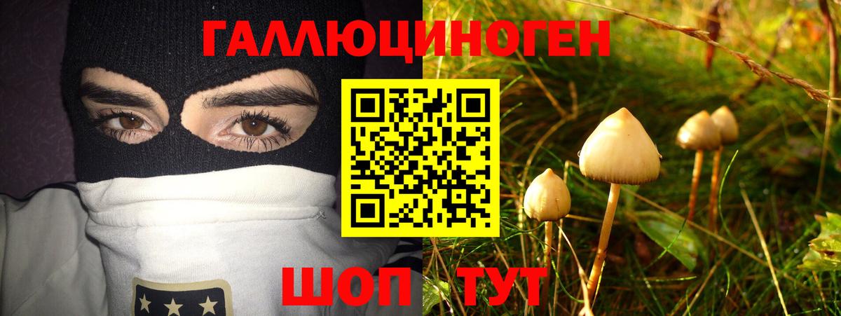 Галлюциногенные грибы мицелий  Вход с VPN  Мичуринск  Псилоцибиновые грибы Magic Shrooms 